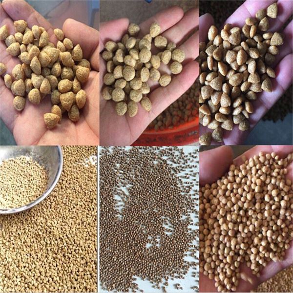 fish feed pellet processing extruder 
