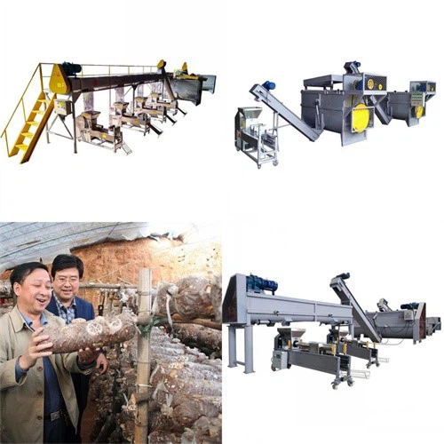 Edible Mushroom Bagging Equipment Edible Mushroom Bagging Equipment
